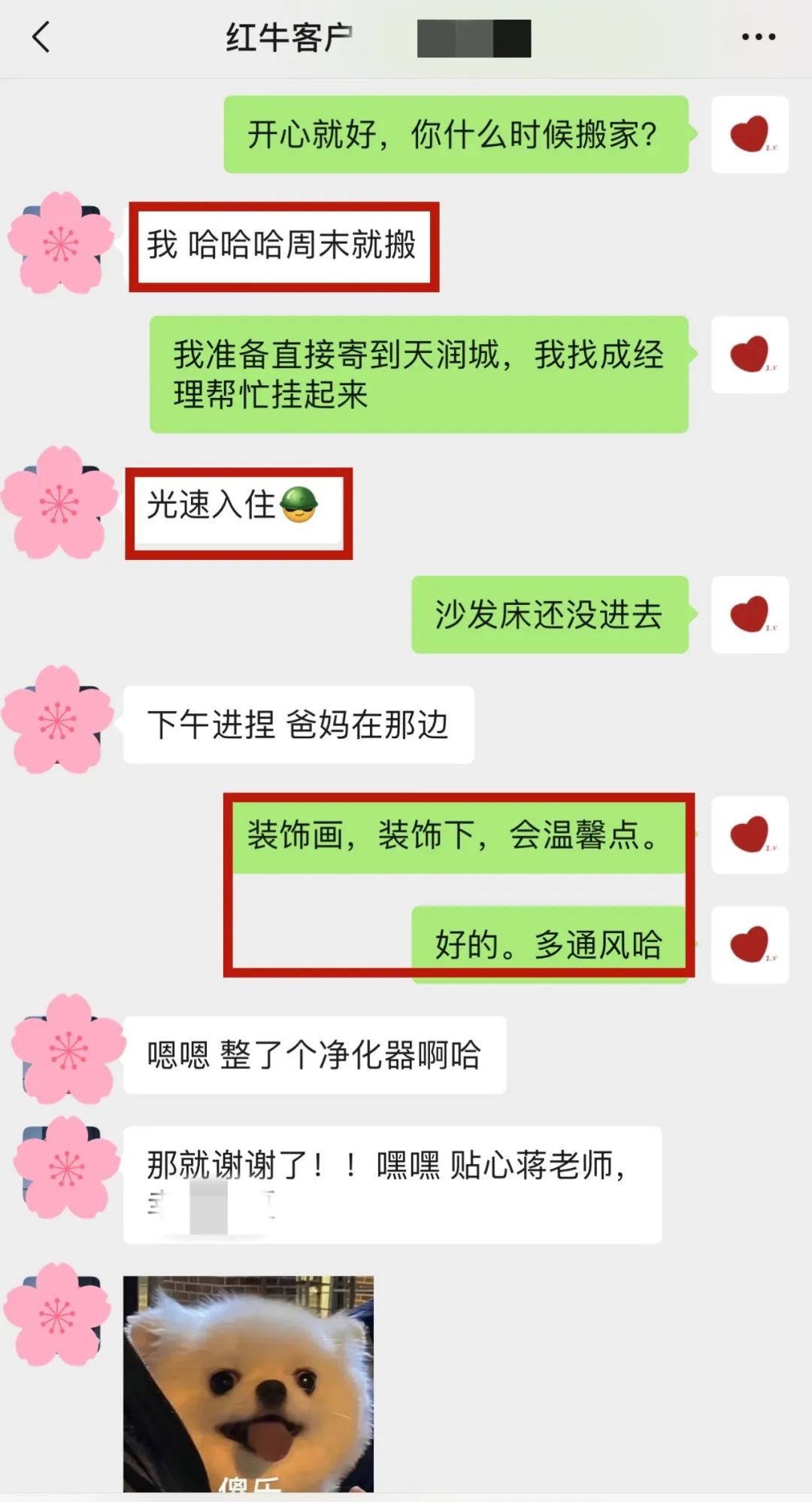 喜報｜金秋十月，收獲滿滿，紅牛裝飾再獲三面錦旗！05